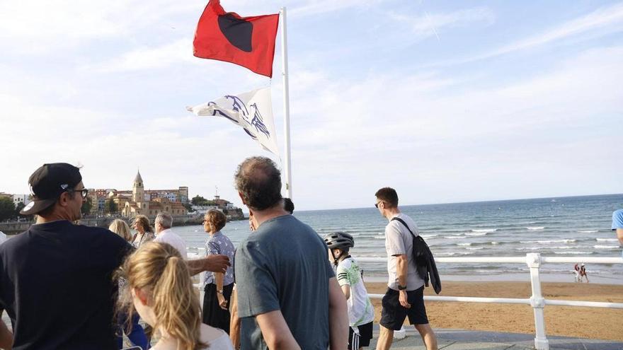 Las carabelas portuguesas continúan en la costa gijonesa: bandera roja de nuevo en la playa de San Lorenzo