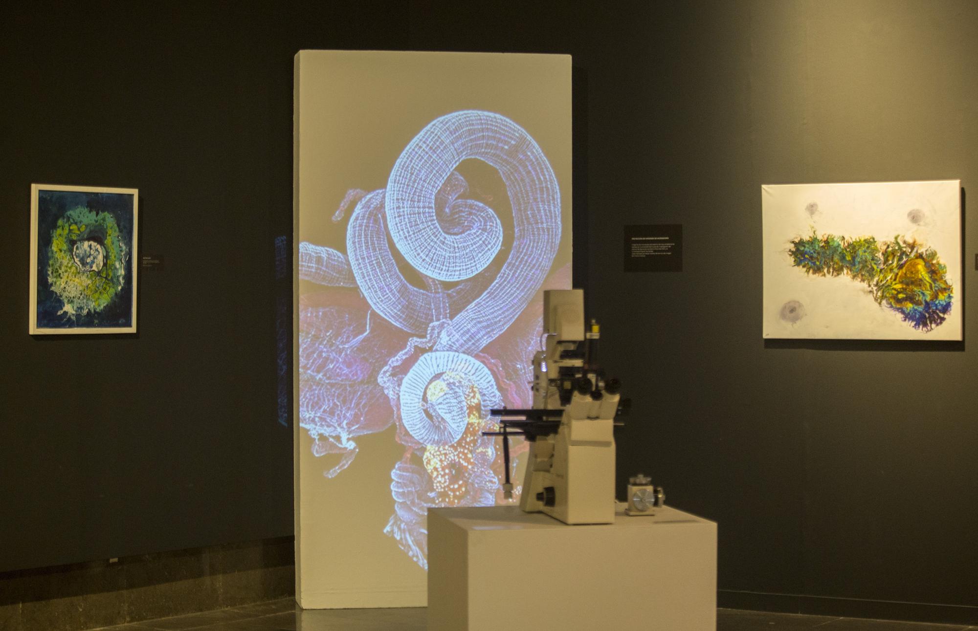 Luis Miguel Gutiérrez inaugura el viernes en la Lonja "Orígenes: los colores y texturas desde el Big Bang al Cerebro"