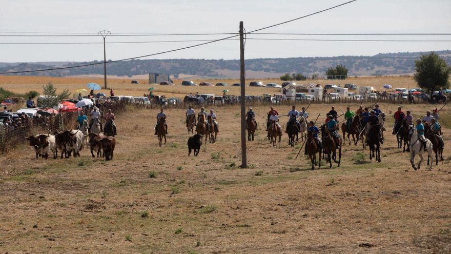 Caballistas conducen a la manada por el paraje de los espantes, en una edición anterior del festejo. | A. B. (ARCHIVO)