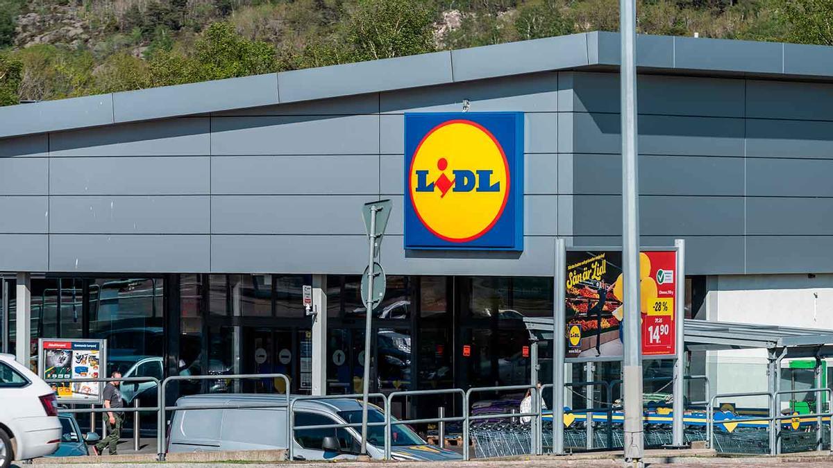 Colas en Lidl para conseguir los sobres que valen menos de 50 céntimos para poder hacer un huerto propio dentro de tu casa