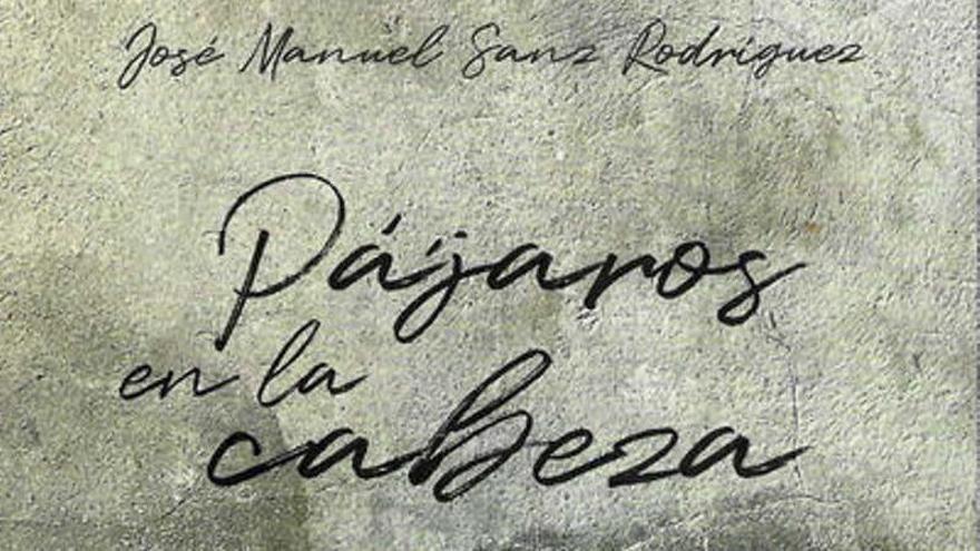 José Manuel Sanz presenta en Llanes su novela &quot;Pájaros en la cabeza&quot;