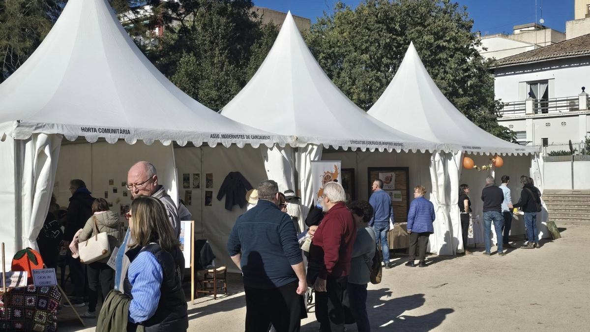 Una imatge de la Mostra de la Taronja del passat cap de setmana.