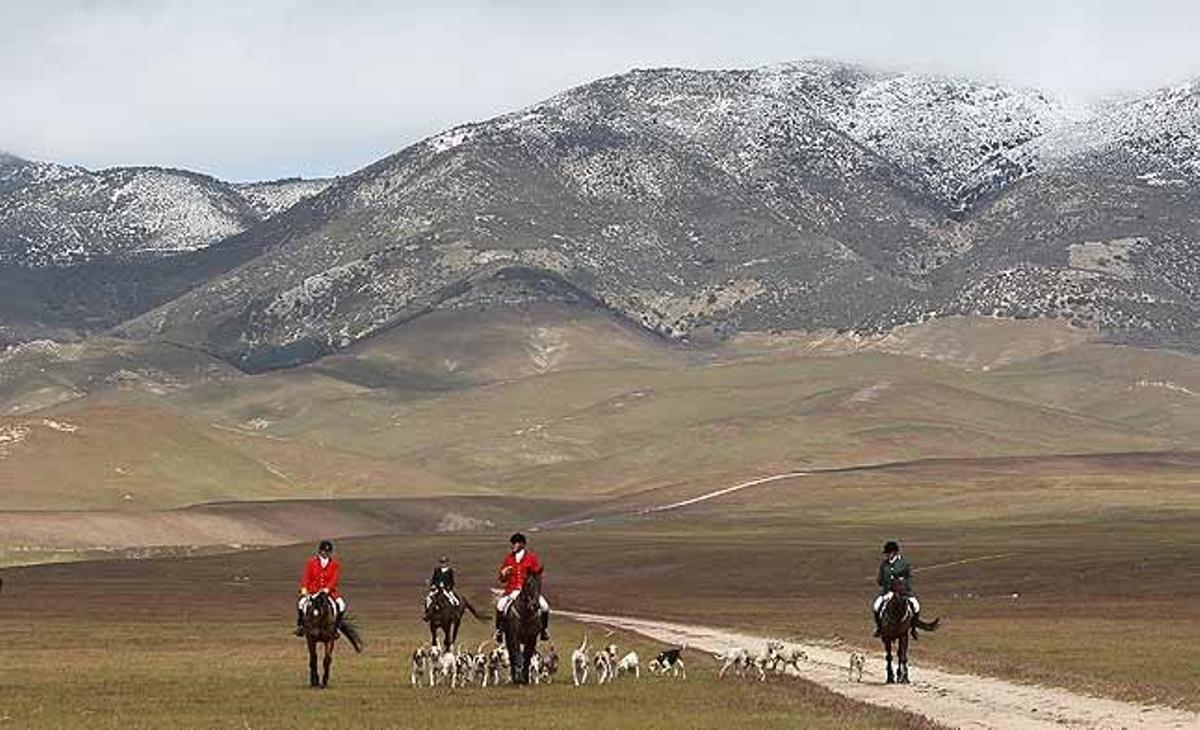 Caçadors de guineus, vestits a l’estil britànic, tornen d’una cacera de coiots a Tejon Ranch, Califòrnia del Sud (Estats Units), ja que són més fàcils de trobar que les guineus grises locals.