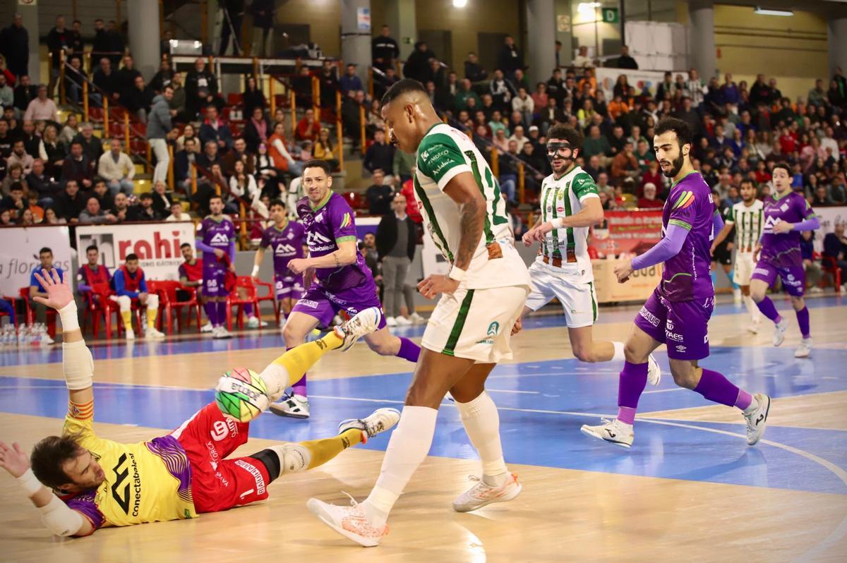 Córdoba Futsal Patrimonio-Mallorca Palma: el partido en imágenes Córdoba Futsal Patrimonio-Mallorca Palma: el partido en imágenes