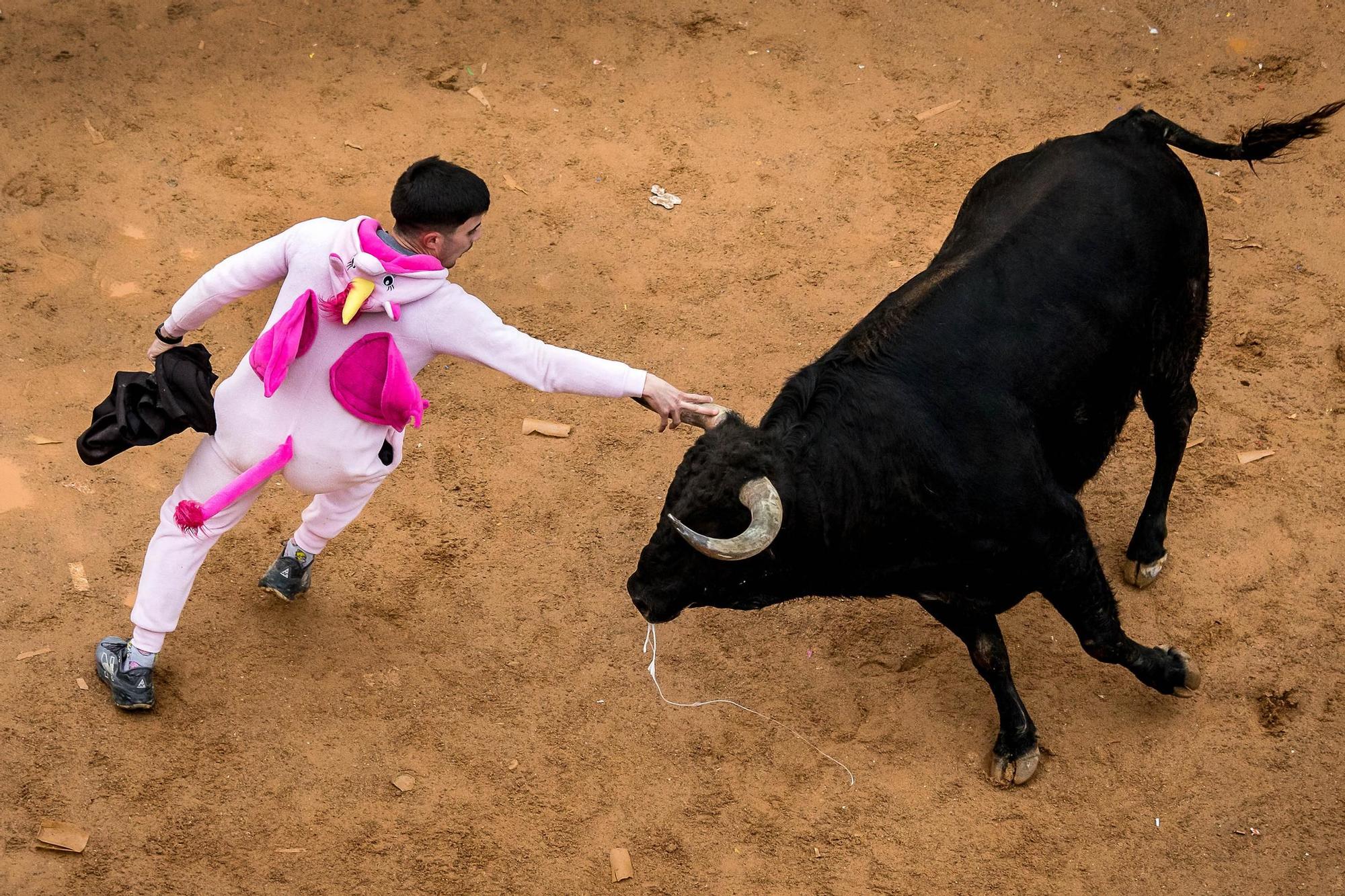 GALERÍA: El martes de Carnaval del Toro en Ciudad Rodrigo se salda con siete intervenciones sanitarias