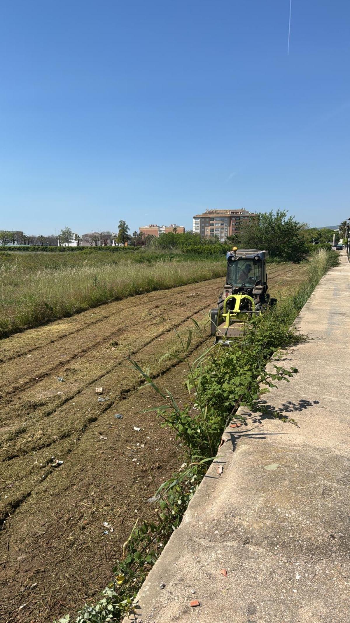 El ayuntamiento ha ordenado la realización de trabajos de desbroce en las parcelas que lindan con el colegio.