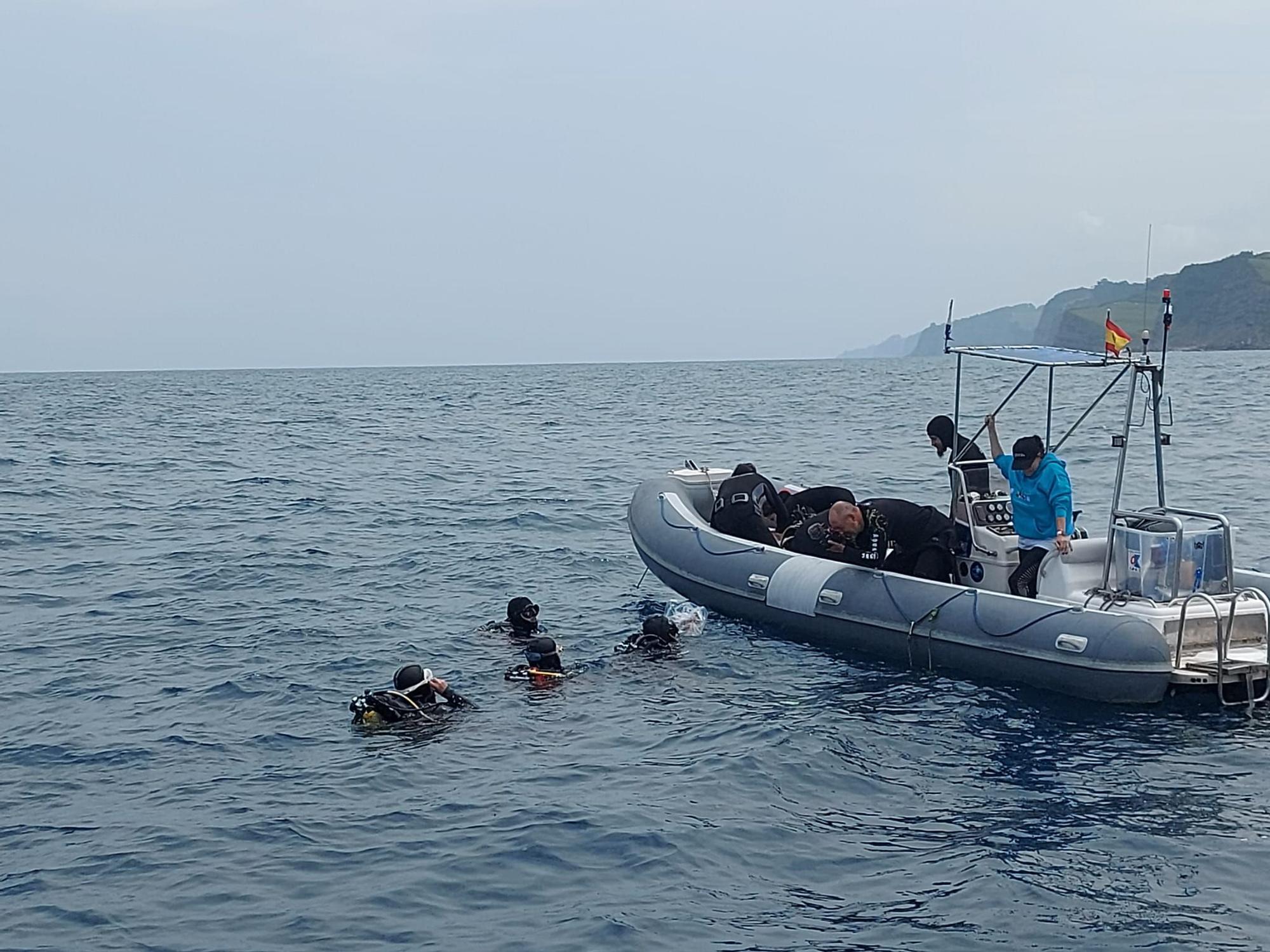 Así fue la suelta de tiburones en Gijón por el Día de los Océanos (en imágenes)