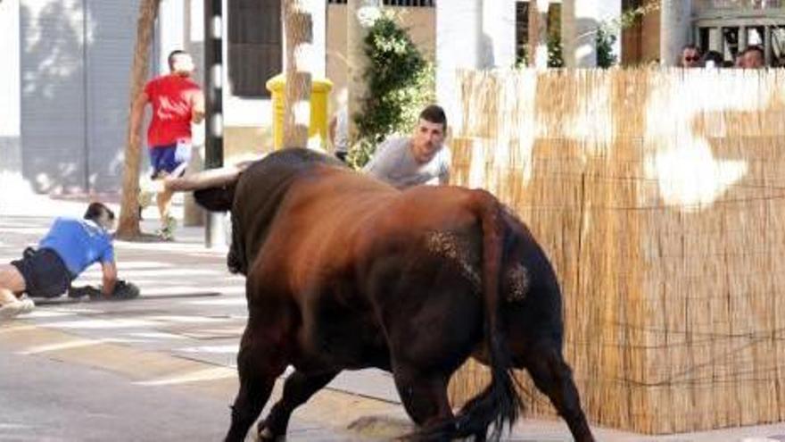 Muere un toro en tras golpearse con un contenedor en un encierro