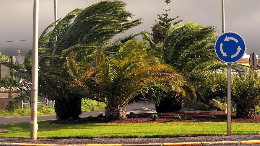 Alerta viento en Castellón: Siete vehículos sufren daños materiales