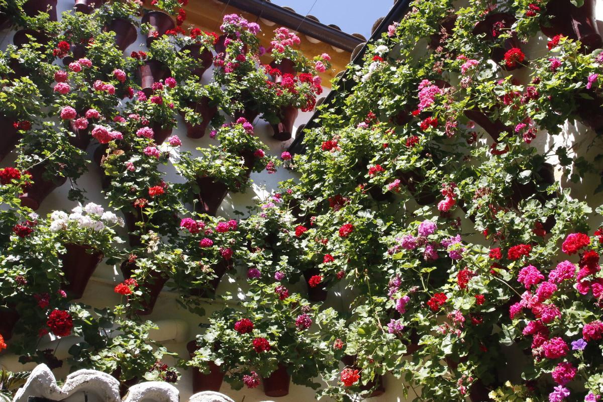 La fiesta de los Patios de Córdoba llega a su fin
