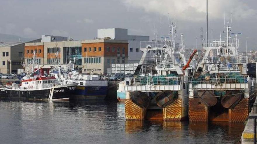 Flota pesquera amarrada en el puerto de Vigo.  // FDV
