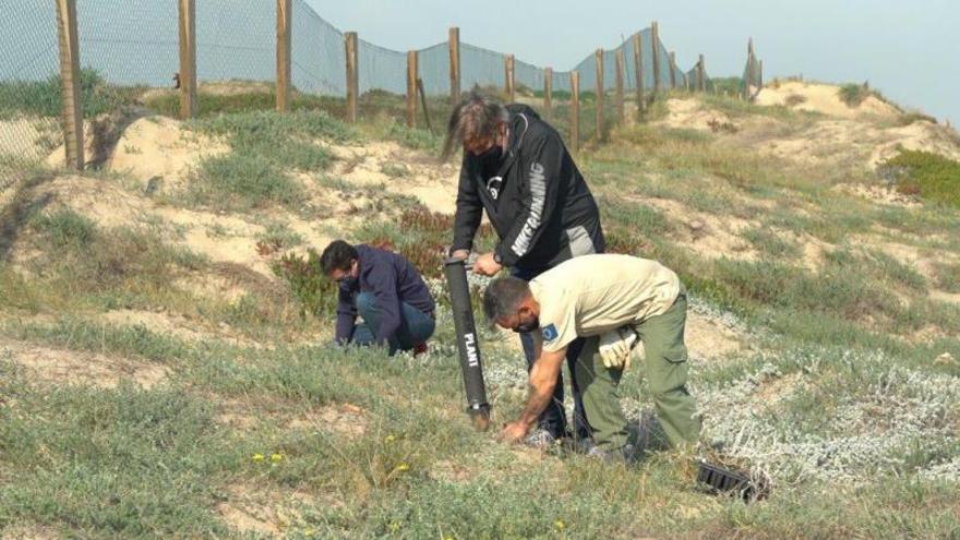 Un planter per a salvar les plantes en extinció