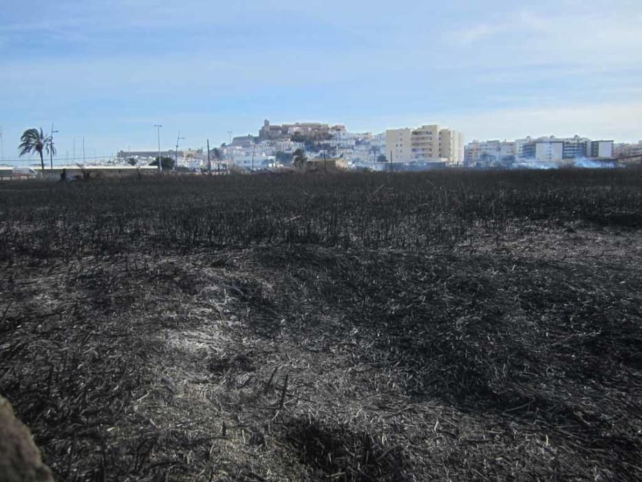 El incendio estuvo controlado alrededor de las 16:00 horas