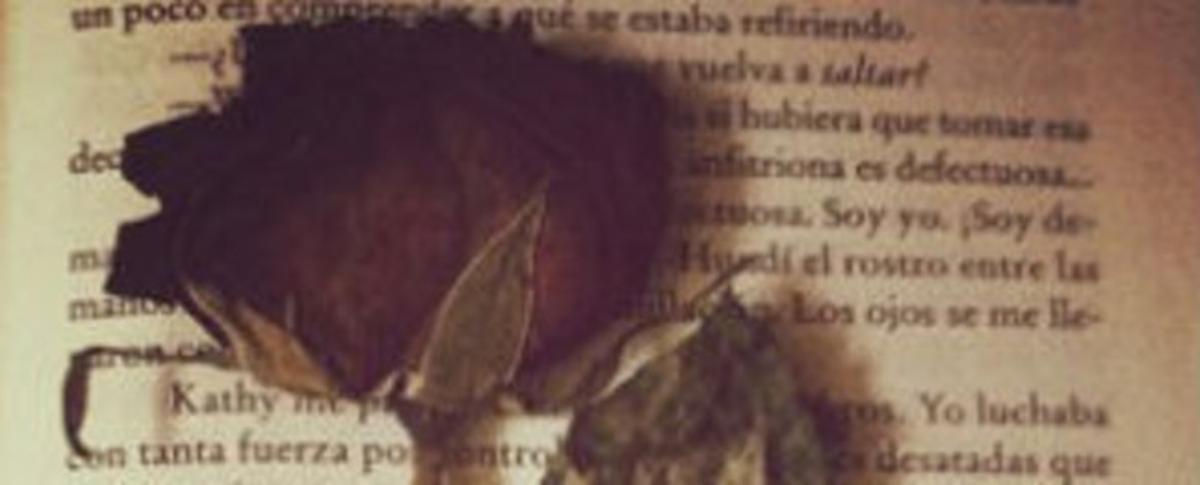 La rosa y el libro