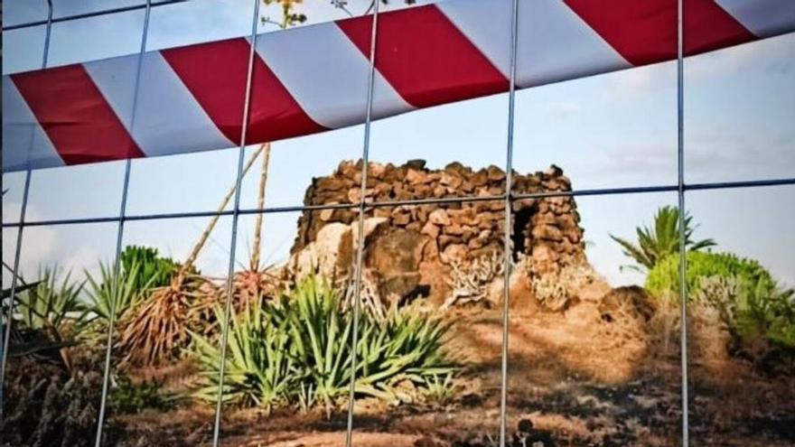 Taro de Charco del Palo, en Haría (Lanzarote)