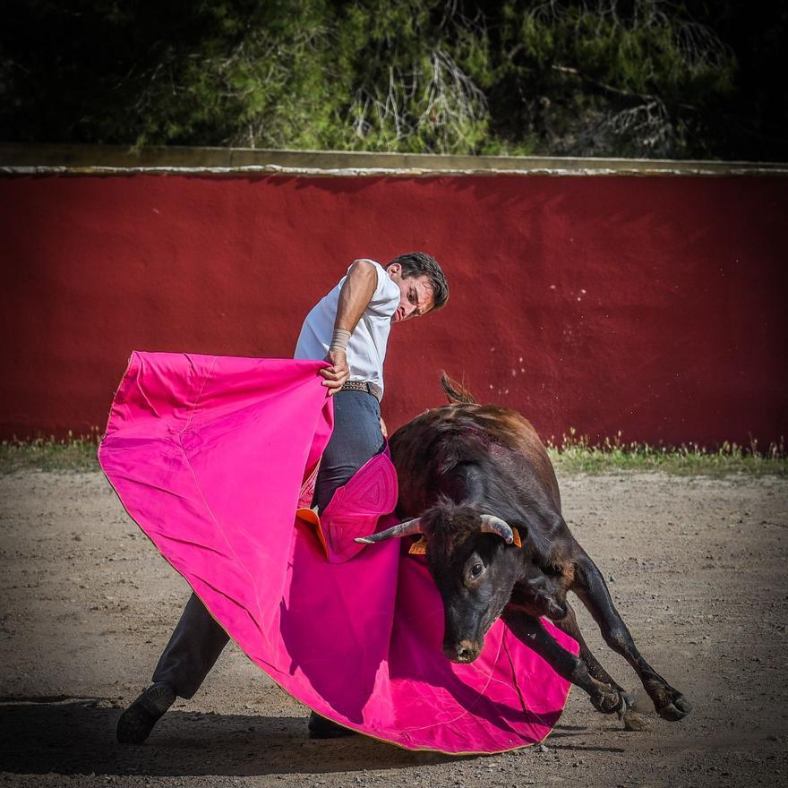 Pinar atraviesa un buen momento, así se ha abierto un hueco en las ferias.