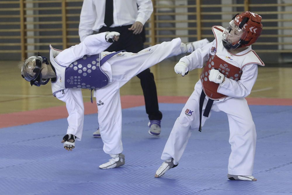 IV Open de Ibiza de taekwondo