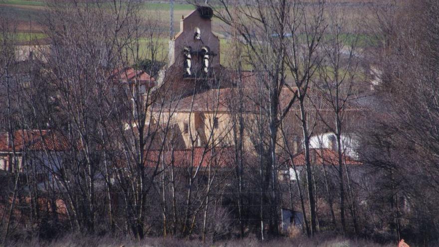 La iglesia de Jambria entre la arboleda.