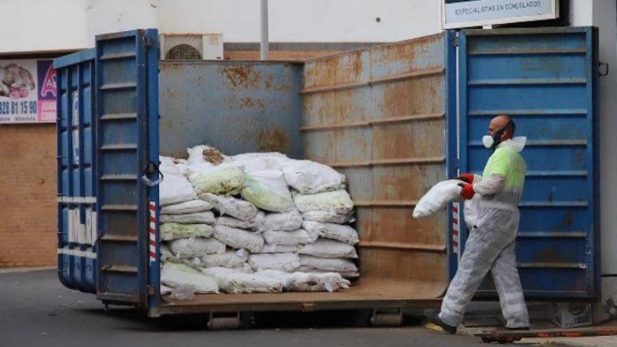 El mal olor de 9.000 kilos de tollos estropeados alerta a vecinos de Arrecife