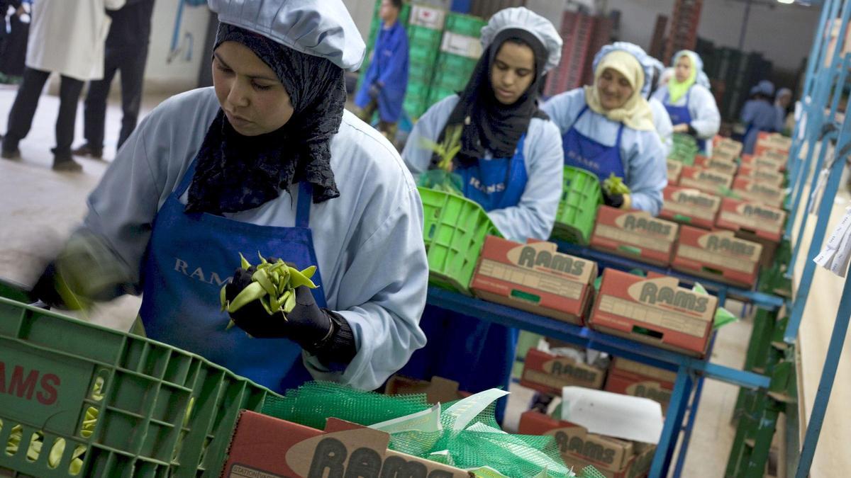 Varios trabajadoras clasifican verdura en una central hortofrutícola marroquí.