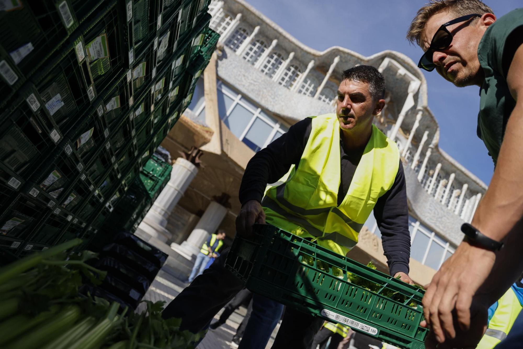 Las imágenes del plante de los agricultores frente a la Asamblea, donde han repartido frutas y hortalizas