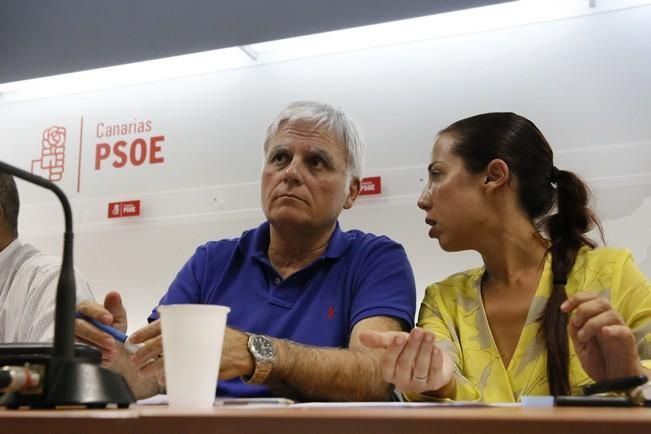 Delia Padrón Comisión Ejecutiva Regional del PSOE de Canarias , Miguel Ángel Pérez ,  Patricia Hernández y Julio Cruz entre otros