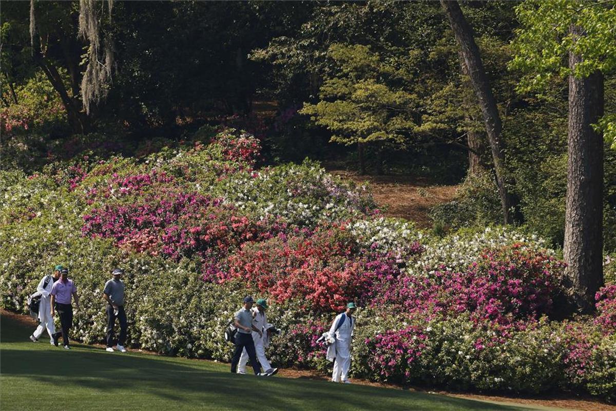 Augusta vuelve a lucir su azaleas en abril, cuando acoge el Masters