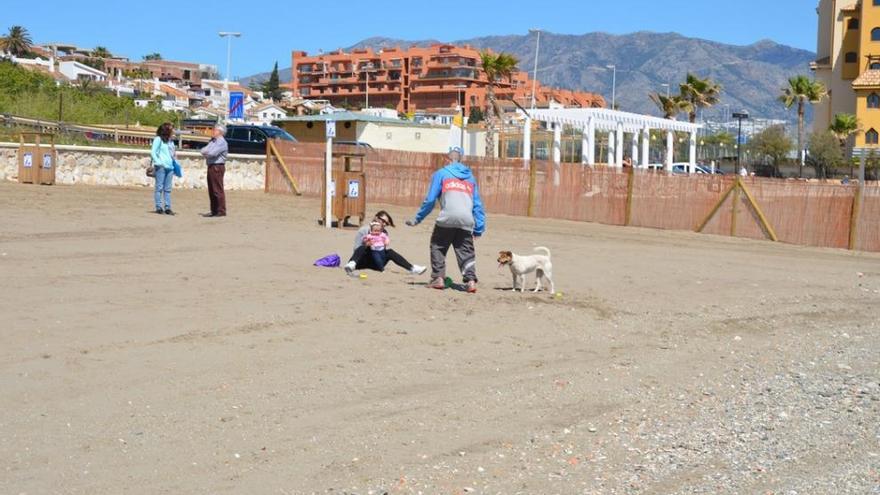 Vecinos de Fuengirola disfrutan en la playa canina.