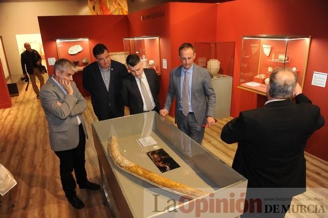 Muestra ´MAM X´ en el Museo Arqueológico de Murcia