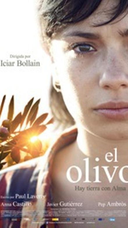 El olivo