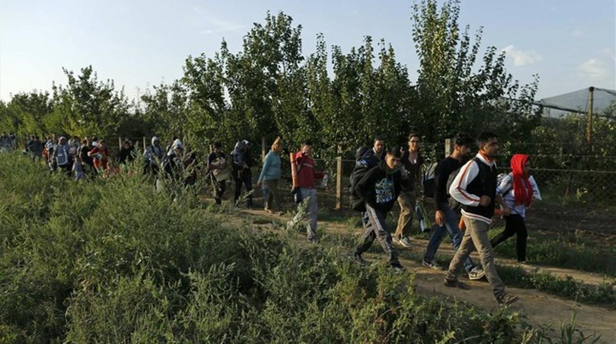 Un grup de refugiats caminen als voltants de Sid, a prop de la frontera amb Croàcia.