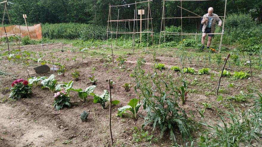 El Pirineu recupera l’hort dels padrins