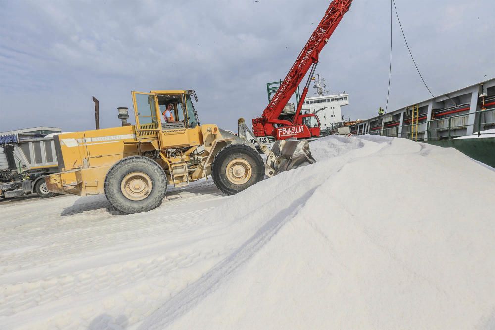 La salinera de Torrevieja garantiza la demanda de sus clientes con sal tunecina