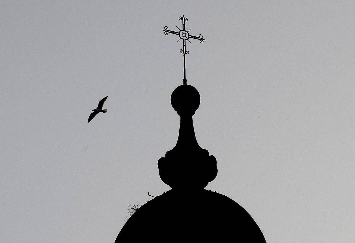 Una gaviota busca cobijo en Santiago ante el inminente temporal que se avecina