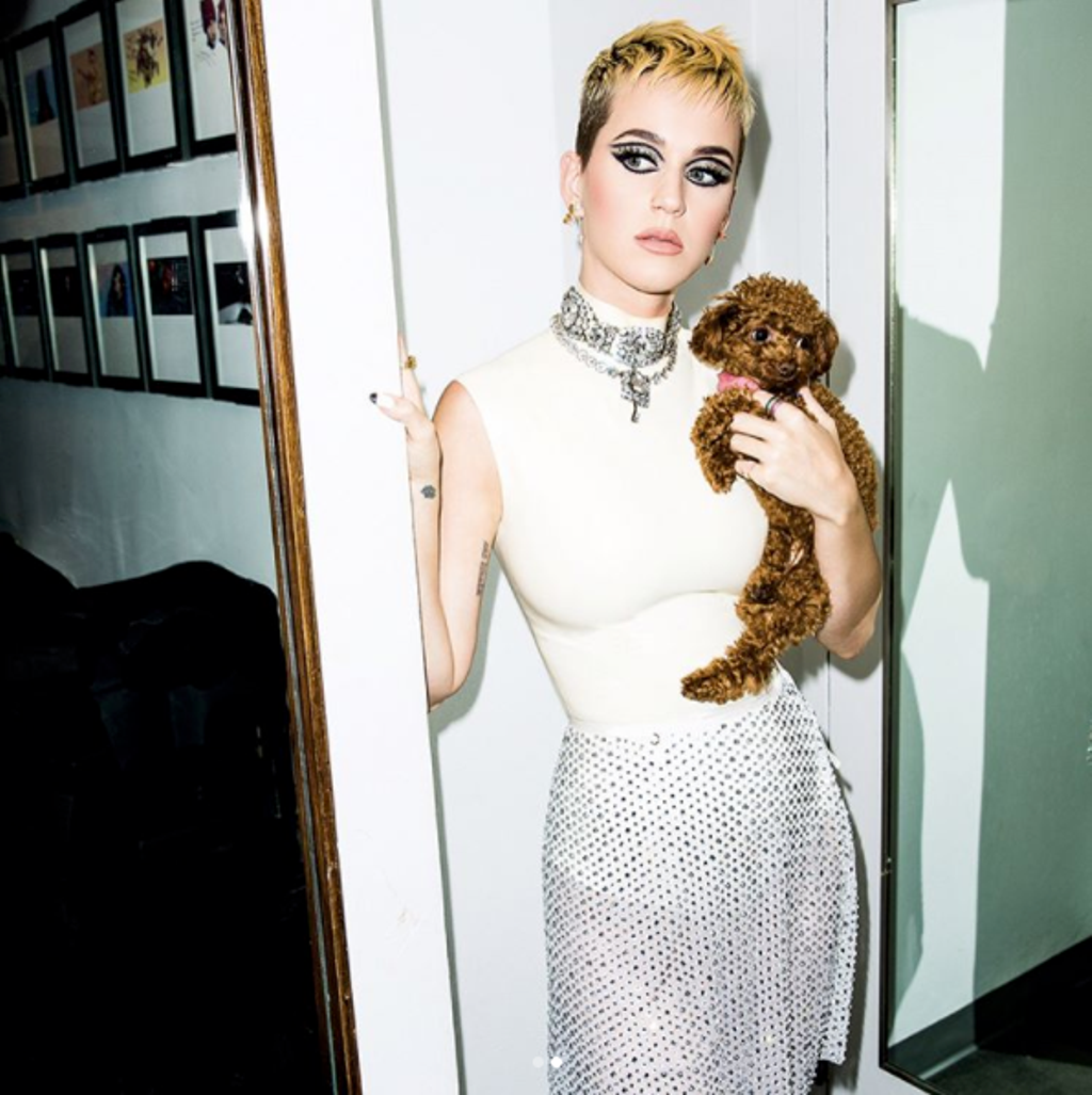 Katy Perry con doble eyeliner
