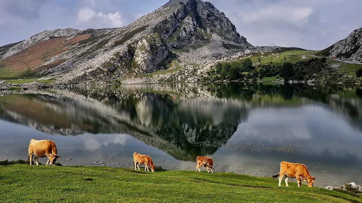 Lagos de Covadonga