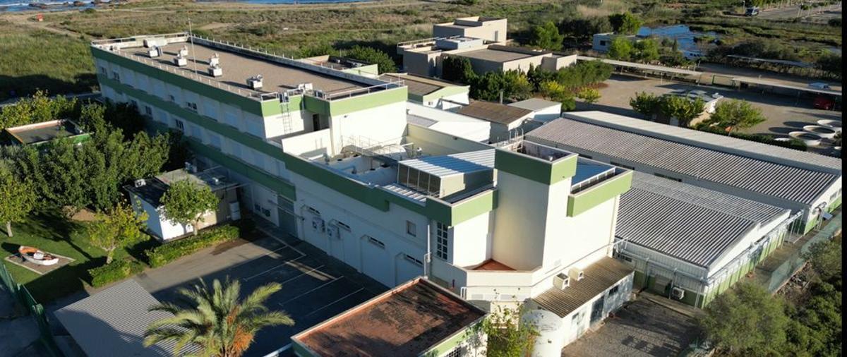 Las instalaciones acuícolas de nueva generación no solo están pensadas para producir más, sino para hacerlo con menor impacto ambiental.