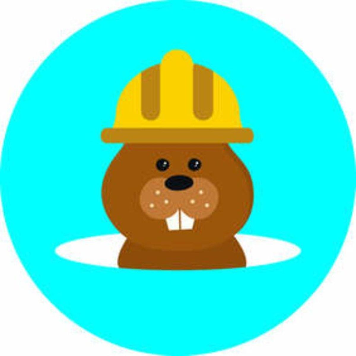csm el topo 027196c26a csm el topo 027196c26a