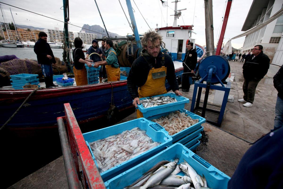 Descarga de pescado en el puerto de La Vila Joiosa.