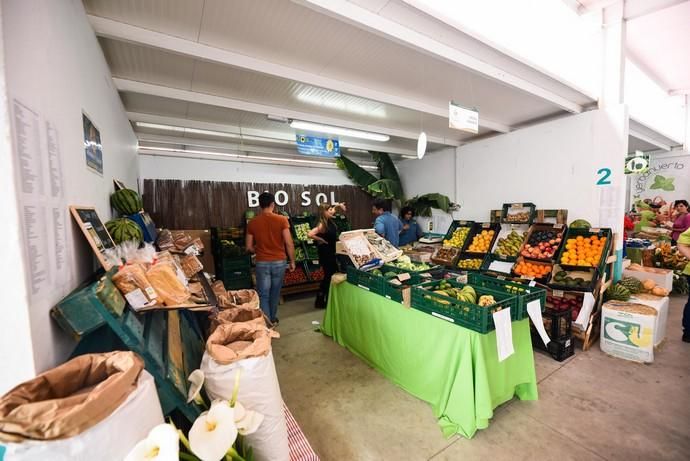 Feria Ecológica de Gran Canaria