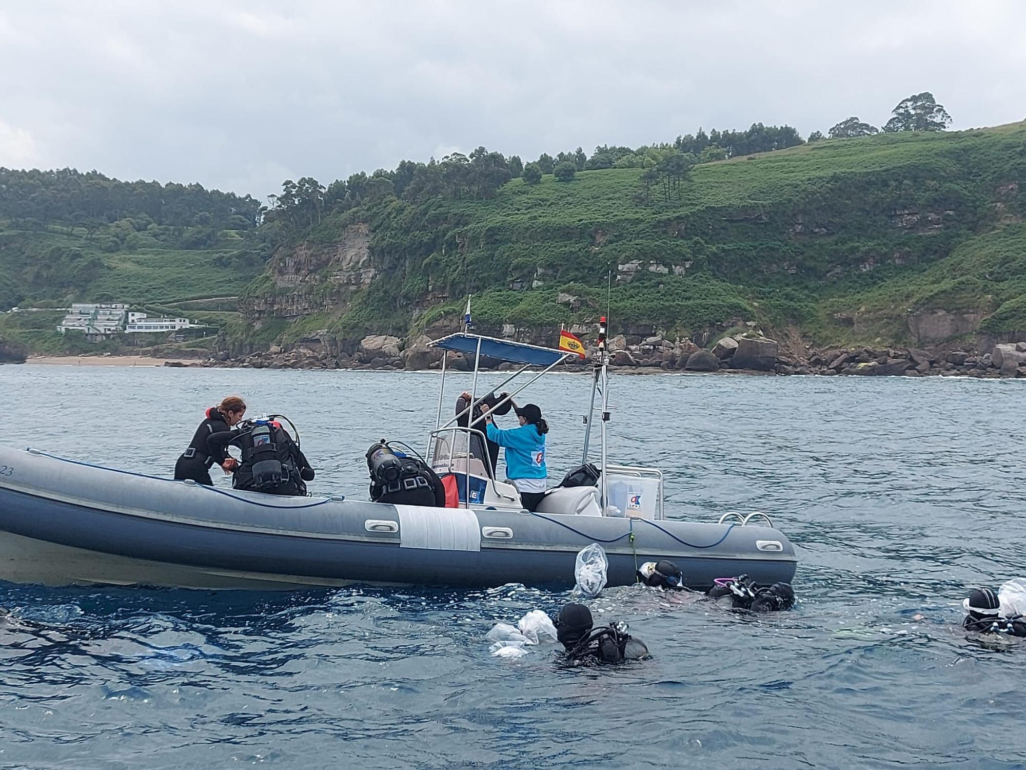 Así fue la suelta de tiburones en Gijón por el Día de los Océanos (en imágenes)