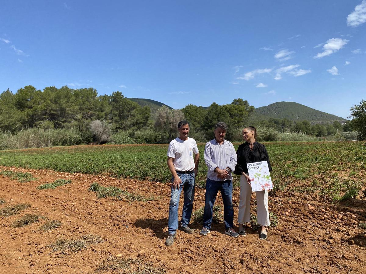 Galería: Así ha sido la presentación de la campaña de la 'patata vermella eivissenca' en Es Figueral Galería: Así ha sido la presentación de la campaña de la 'patata vermella eivissenca' en Es Figueral