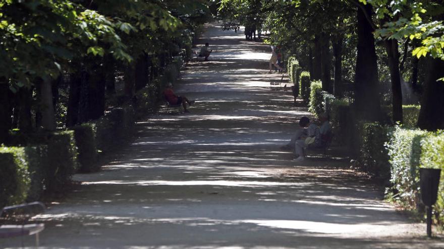 Imagen del parque del Retiro, en Madrid.