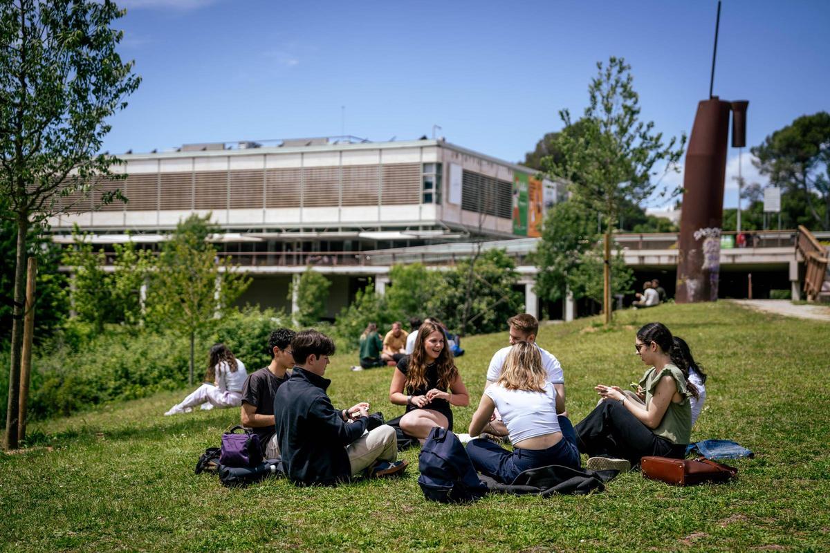 Un grupo de alumnos universitarios descansan en el campus de la UAB, la semana pasada.