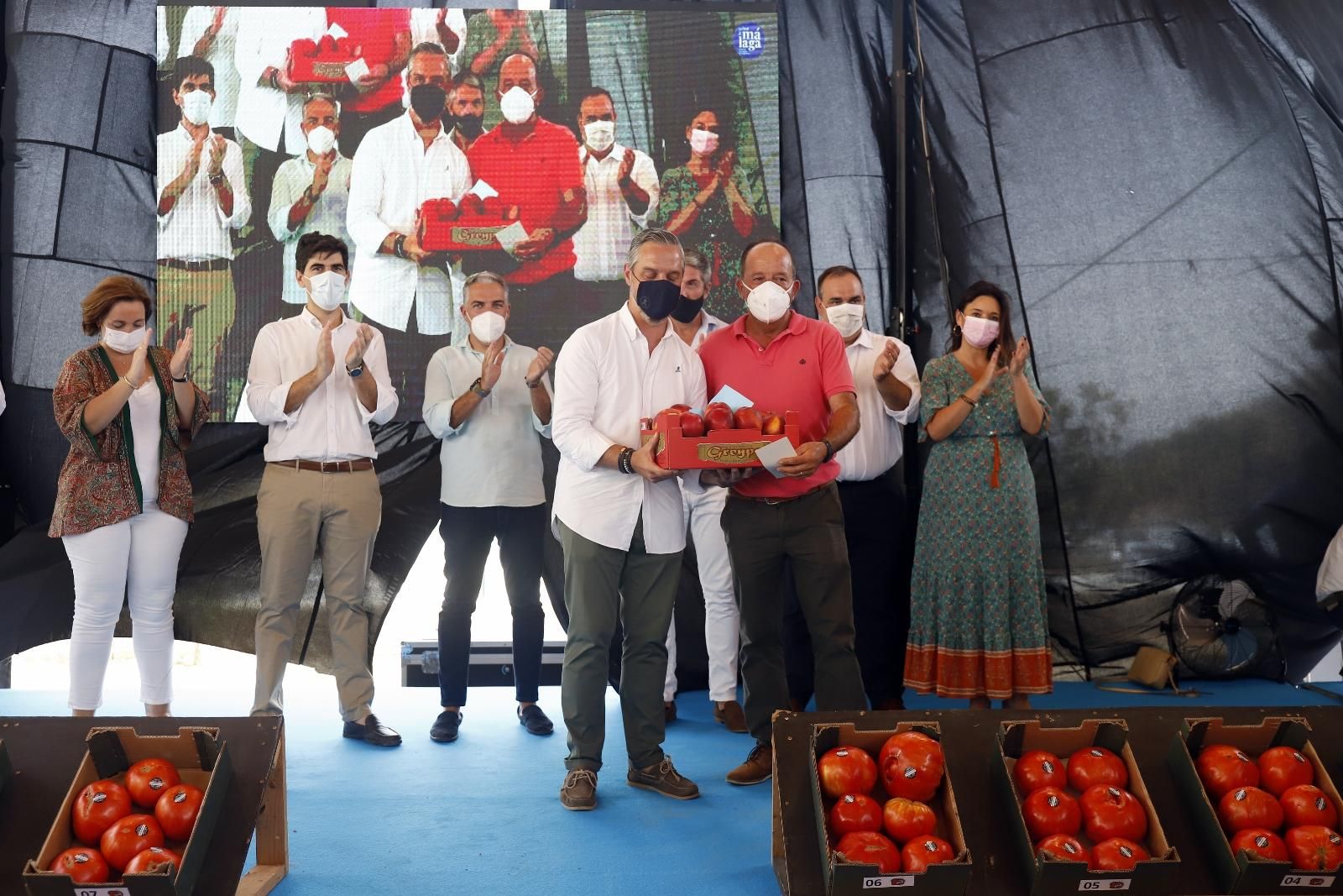 Concurso hortofrutícola de Coín y subasta Mejor Tomate Huevo de Toro