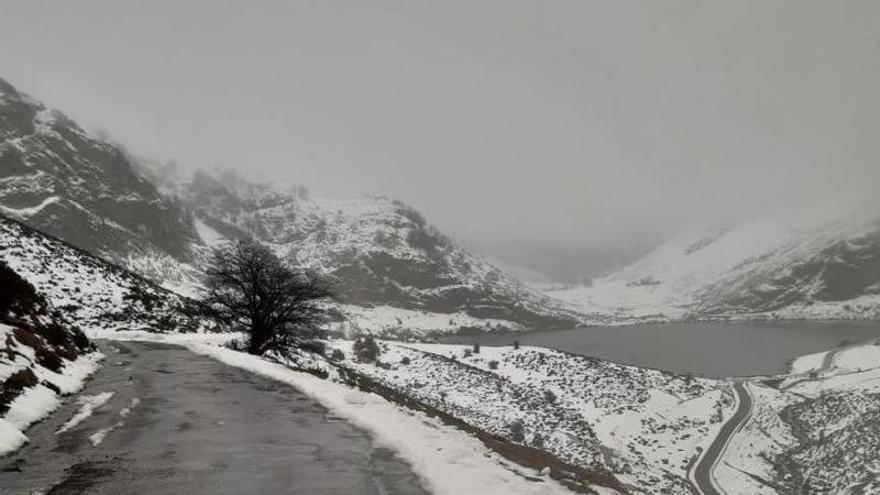 Lago Enol hoy.