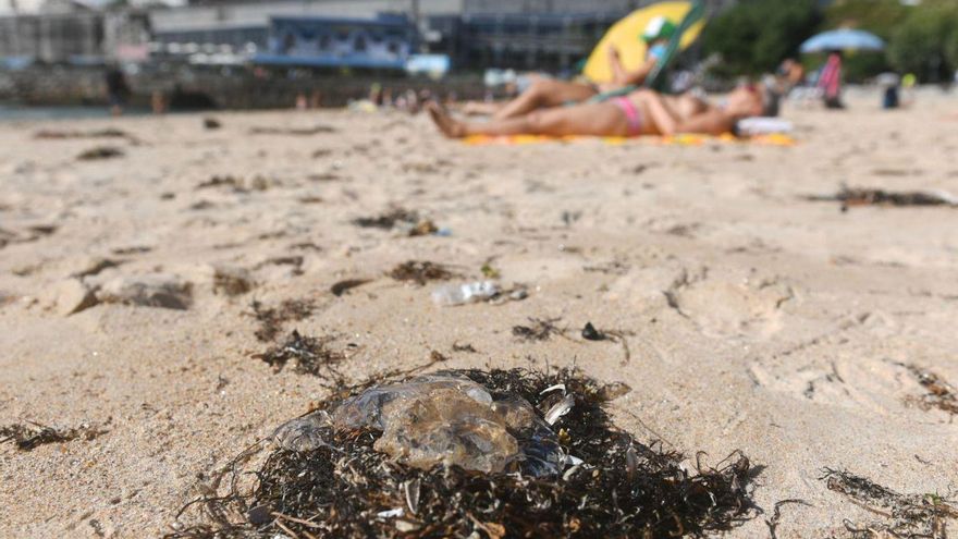 Las carabelas ponen en riesgo la travesía de San Amaro