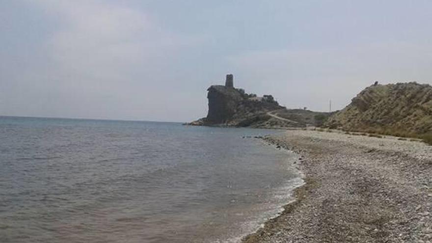 El Xarco se convierte en la primera playa para perros de La Vila