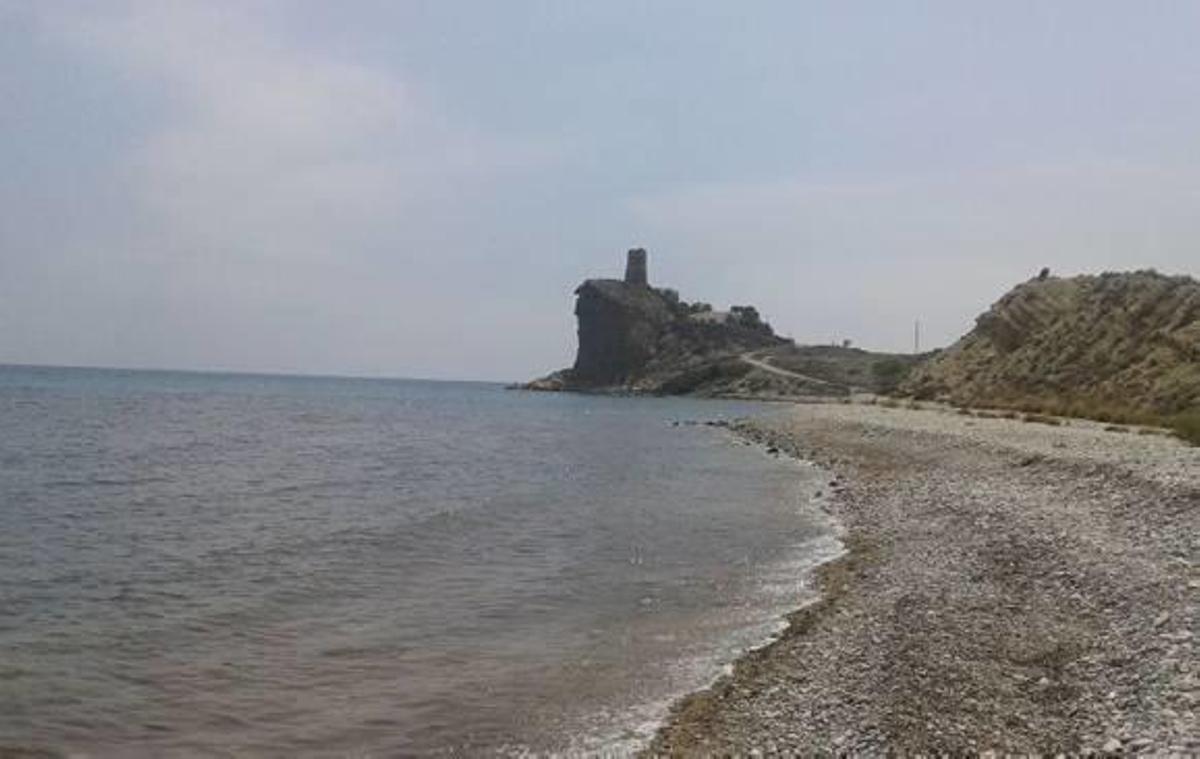 El Xarco se convierte en la primera playa para perros de La Vila