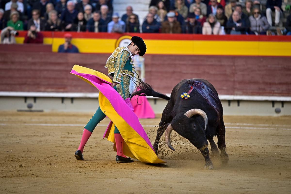 Galería: Brava novillada de Montalvo en Castelló